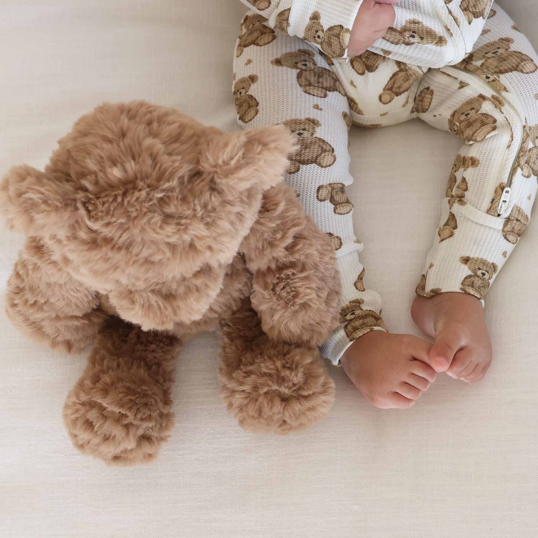 Large Cuddle Plush Friends | Brody Bear